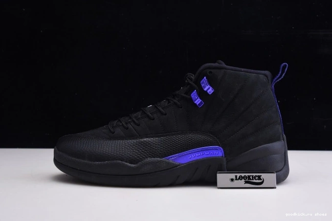 Air CT8013 005 12 Retro 'Dark Jordan Concord' 0711